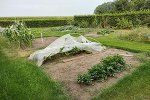 images/tuin/tuin-moestuin.jpg